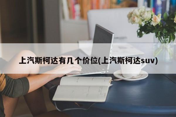 上汽斯柯达有几个价位(上汽斯柯达suv)