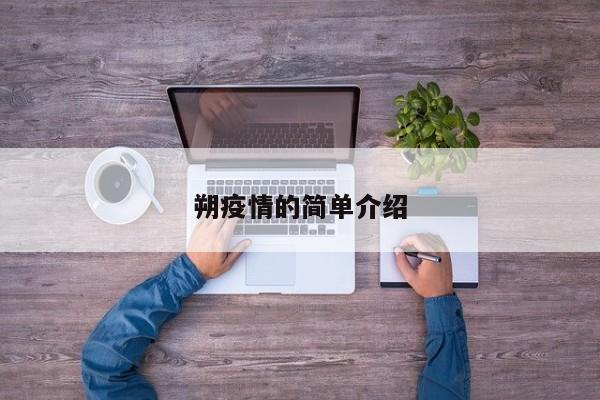 朔疫情的简单介绍