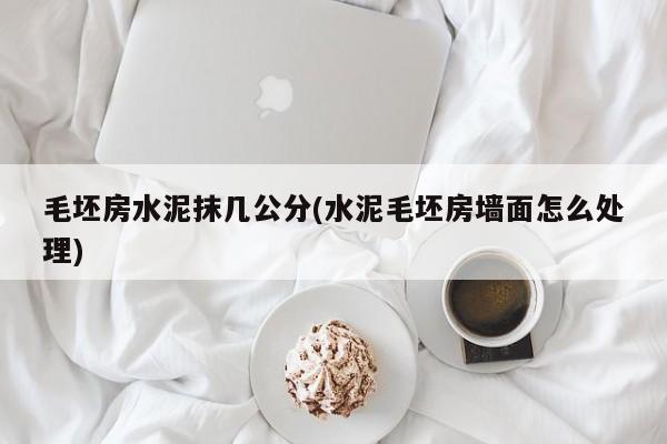 毛坯房水泥抹几公分(水泥毛坯房墙面怎么处理)
