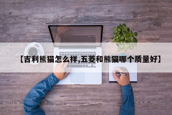 【吉利熊猫怎么样,五菱和熊猫哪个质量好】